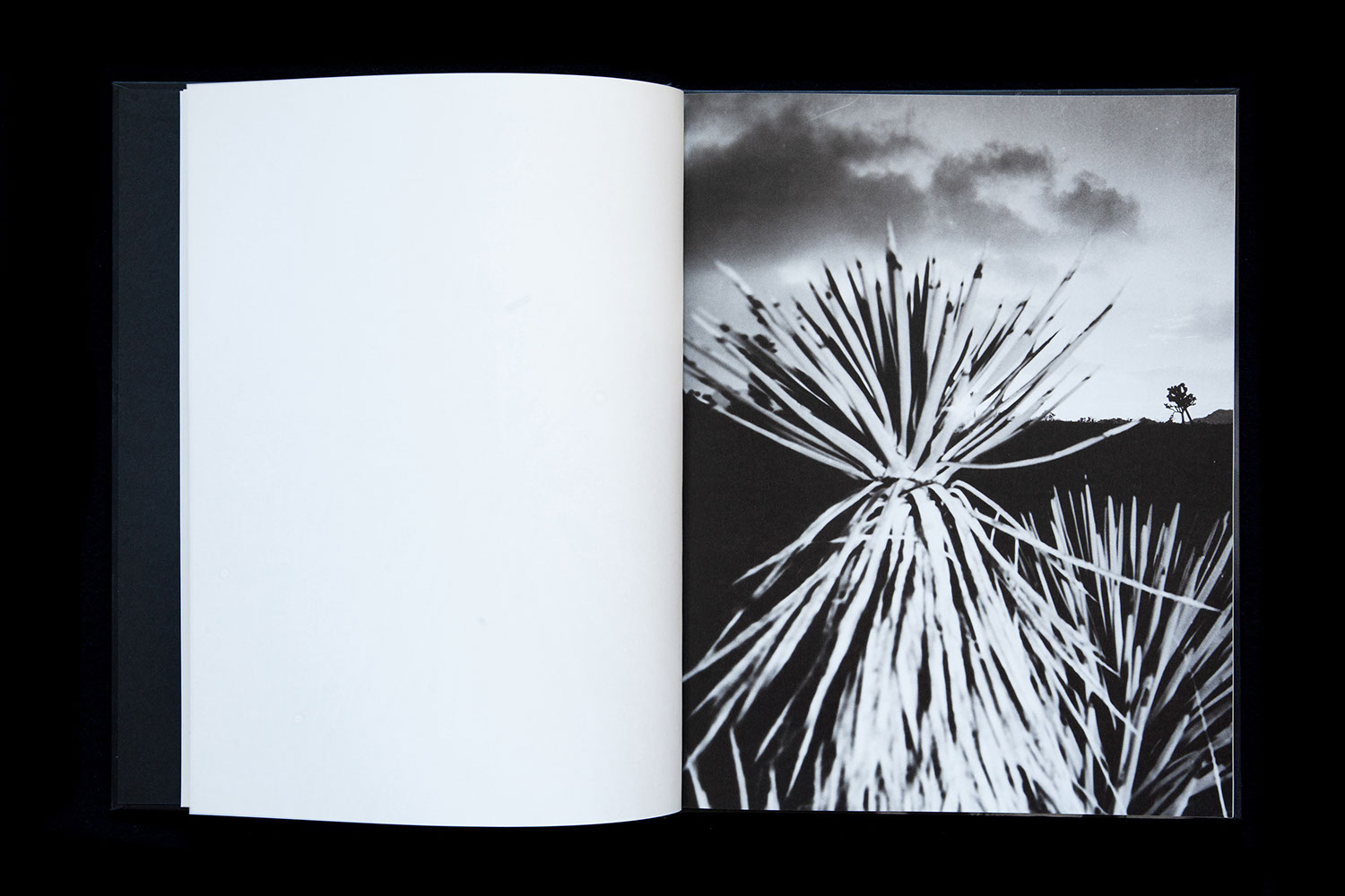 Chris Shaw - Horizon Icons