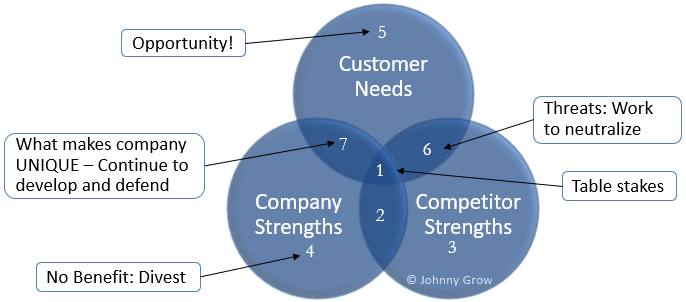 A Business Growth Strategy Framework to Maximize Revenue