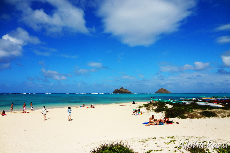 プライベート感覚のラニカイビーチ│はじめてのハワイ〜オアフ島