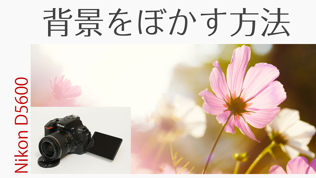 Nikon D5600 花火を撮影する方法 初心者でも簡単！テクニックを徹底