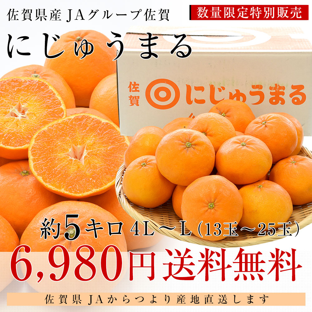 佐賀県より産地直送 JAグループ佐賀 にじゅうまる 4LからLサイズ 約5