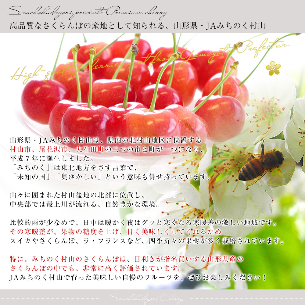 山形県産 JAみちのく村山 さくらんぼ 佐藤錦 秀品以上 大粒Lサイズ以上