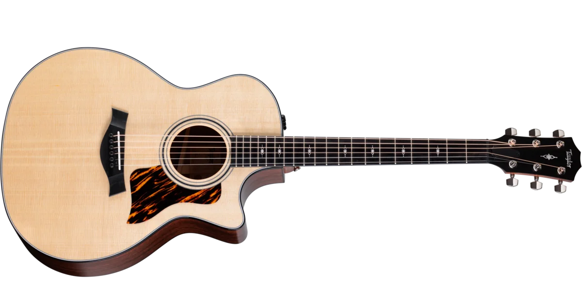 314ceSapeleアコースティック エレクトリック ギター | Taylor Guitars