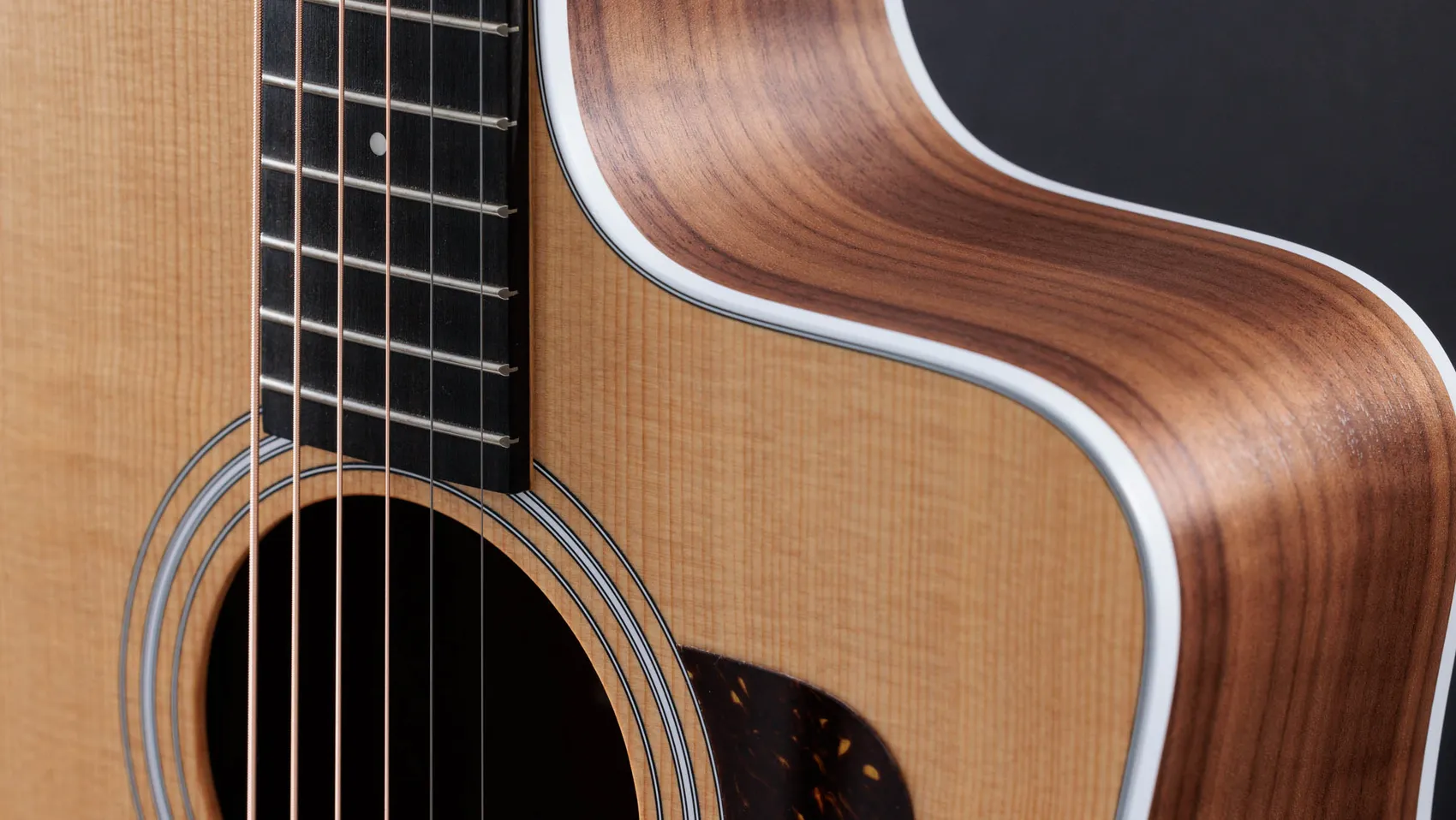 210ceWalnutアコースティック エレクトリック ギター | Taylor Guitars