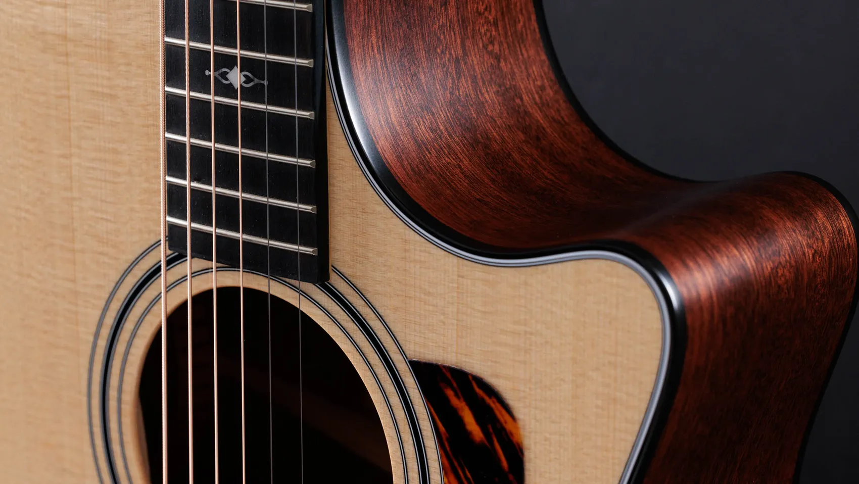 314ceSapeleアコースティック エレクトリック ギター | Taylor Guitars