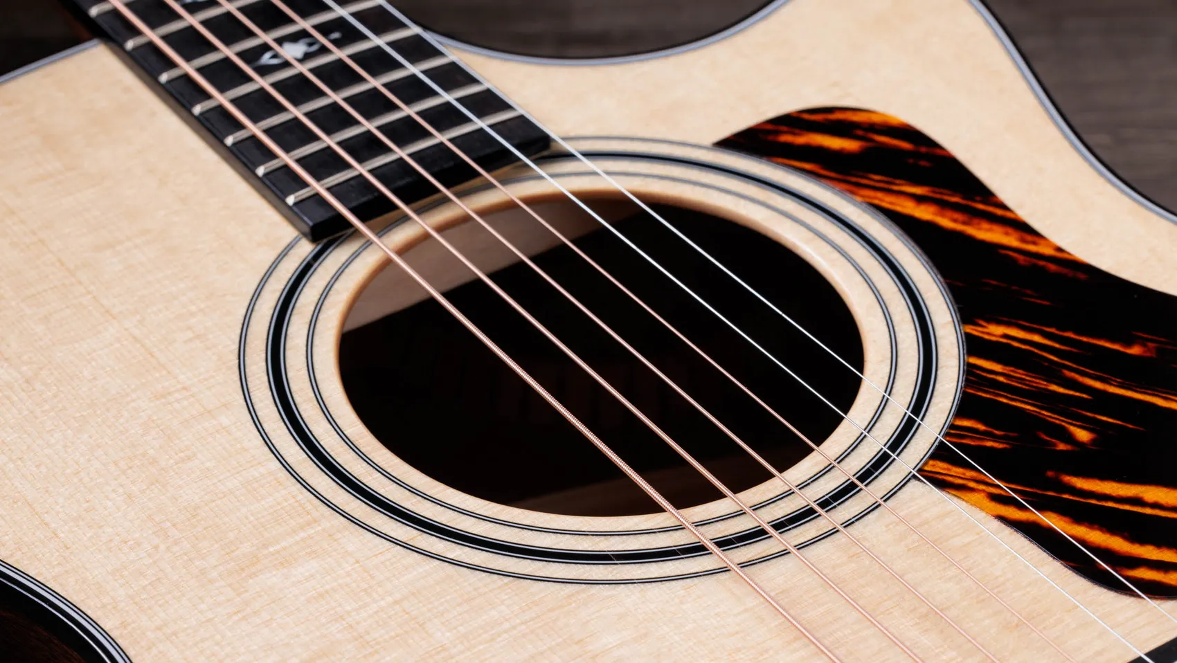 314ceSapeleアコースティック エレクトリック ギター | Taylor Guitars