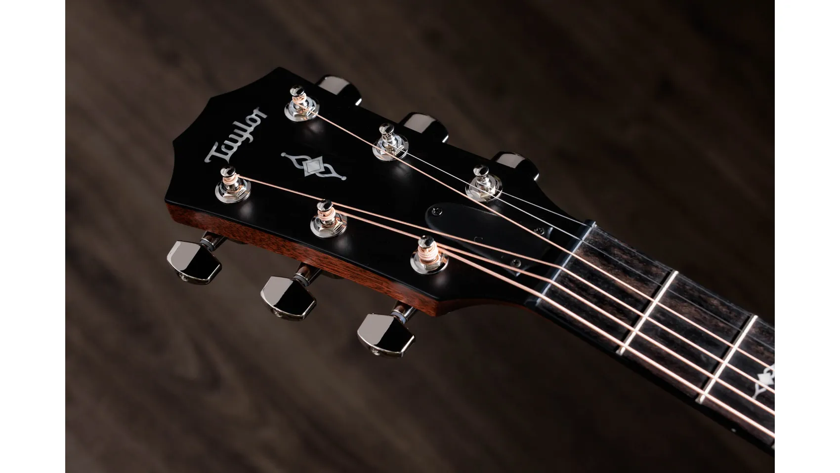 314ceSapeleアコースティック エレクトリック ギター | Taylor Guitars