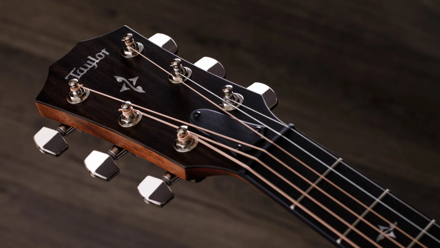 412ceIndian Rosewoodアコースティックエレクトリックギター | Taylor