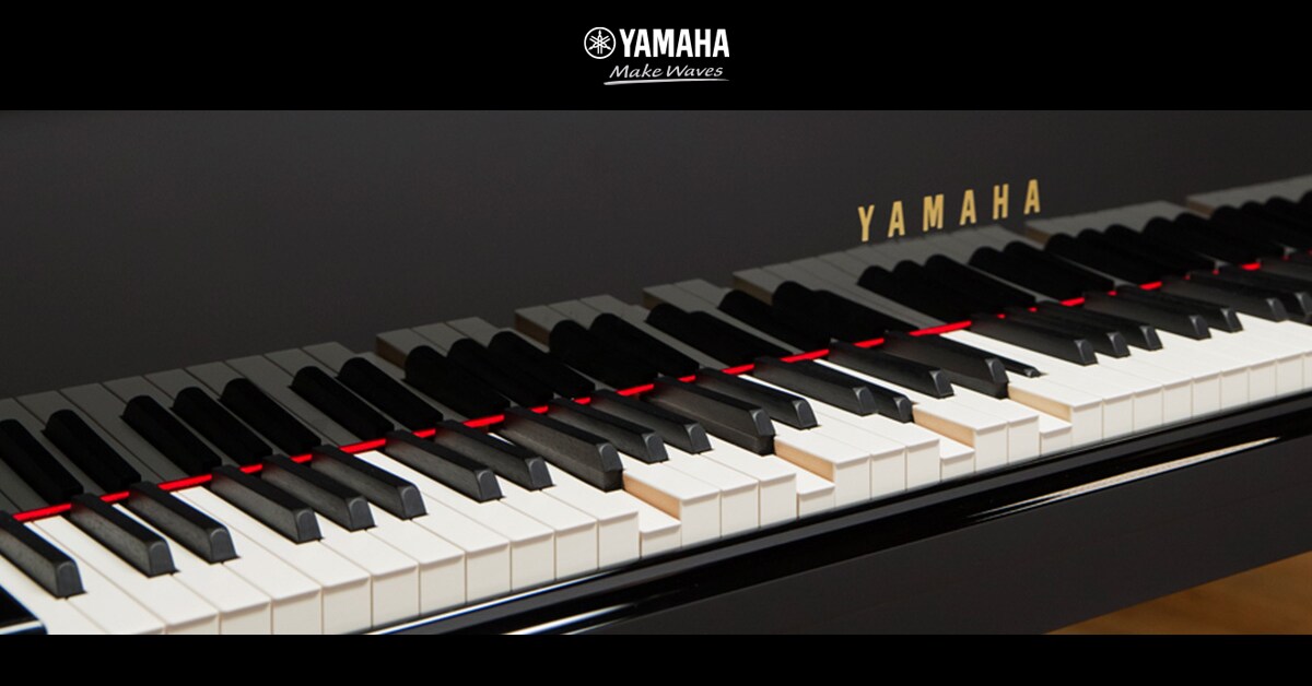 ヤマハ | ディスクラビア・エンスパイア アップグレードユニット