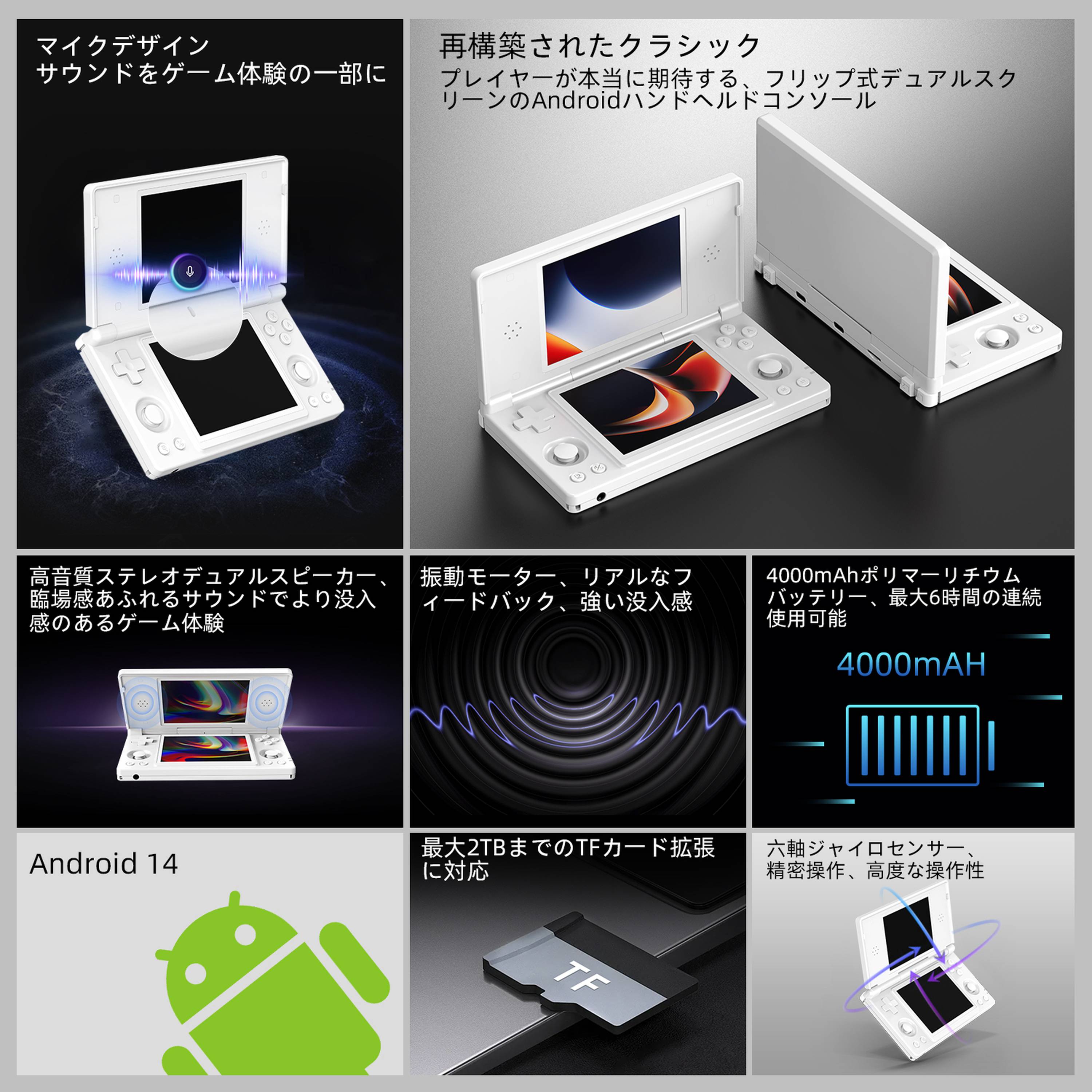 ANBERNIC RG DS – anbernic