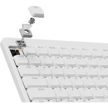 Flow Lite メカニカルキーボード 89キー JIS配列モデル Lofree