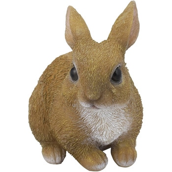 うさぎ GEX クリアフロント60WF うさぎの飼育セット 幅62．0×奥行