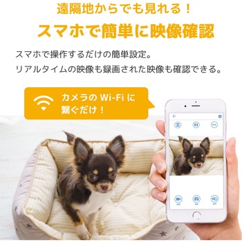 PETA-CAM-SEC1080P 貼るだけ超小型ワイヤレス防犯カメラ(200 万画素