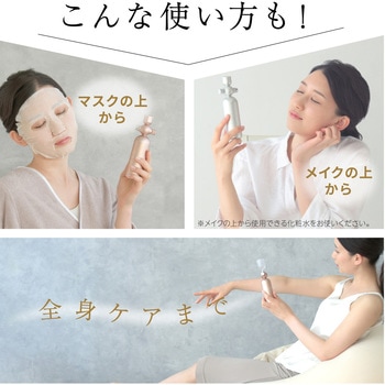 beapro19 beapro19 withミスト リッチミストガン 1台 TAIGASHOJI(大河