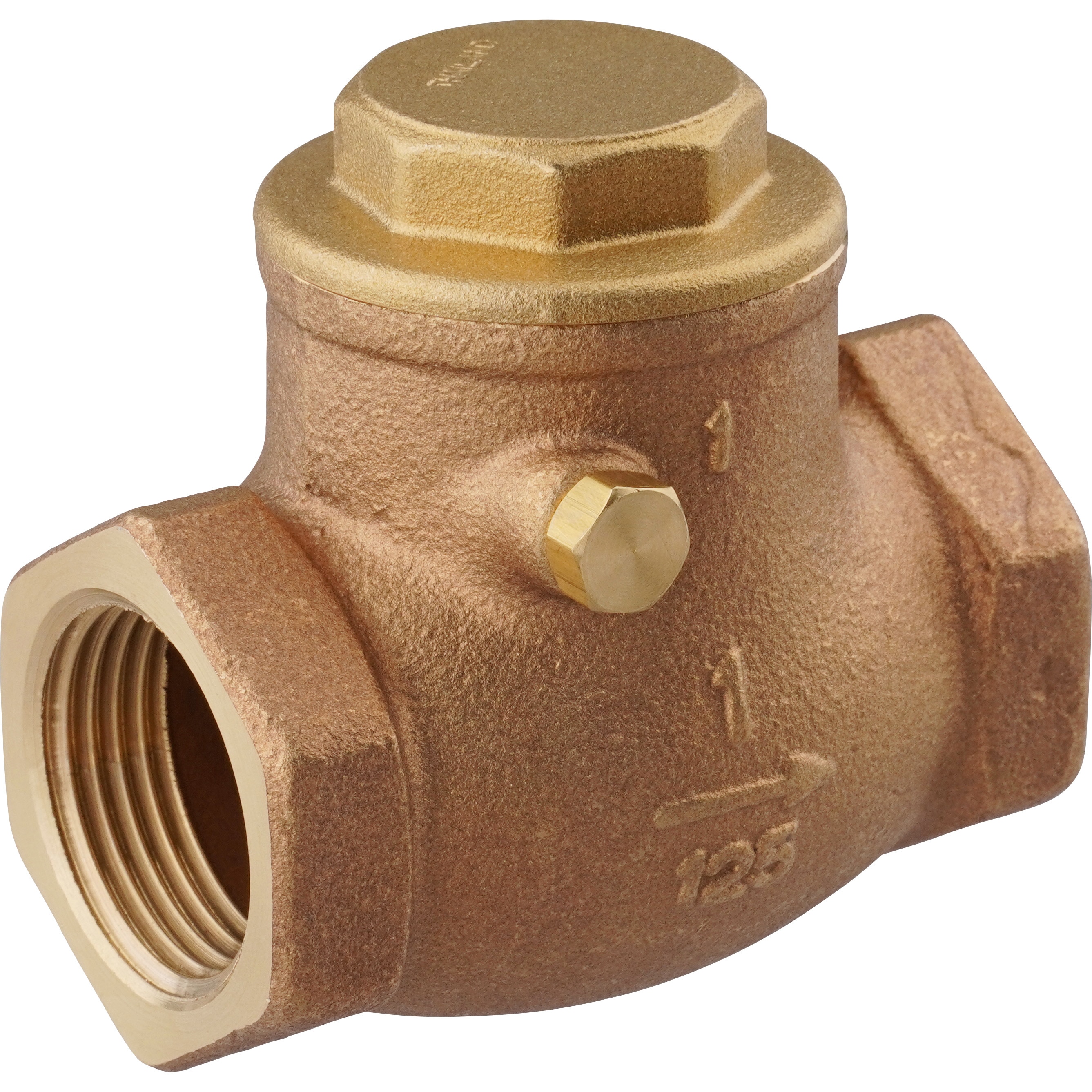 R-25A 青銅製スイングチャッキバルブ125型(Rシリーズ) KITZ(キッツ