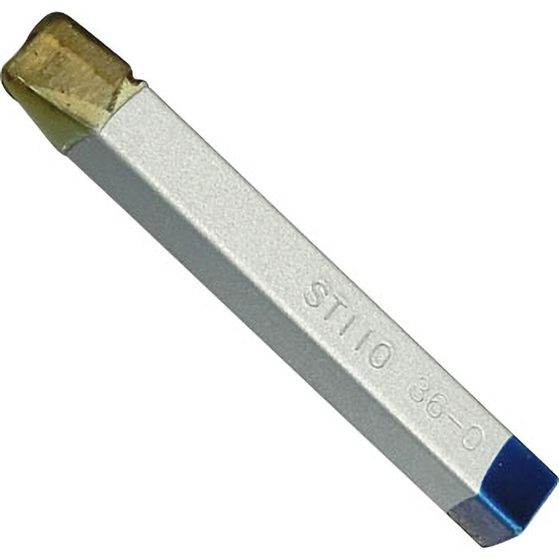 ①-1貝標本ヤエバイトカケ（蓋付：胴太型） ①-1貝標本ヤエバイトカケ