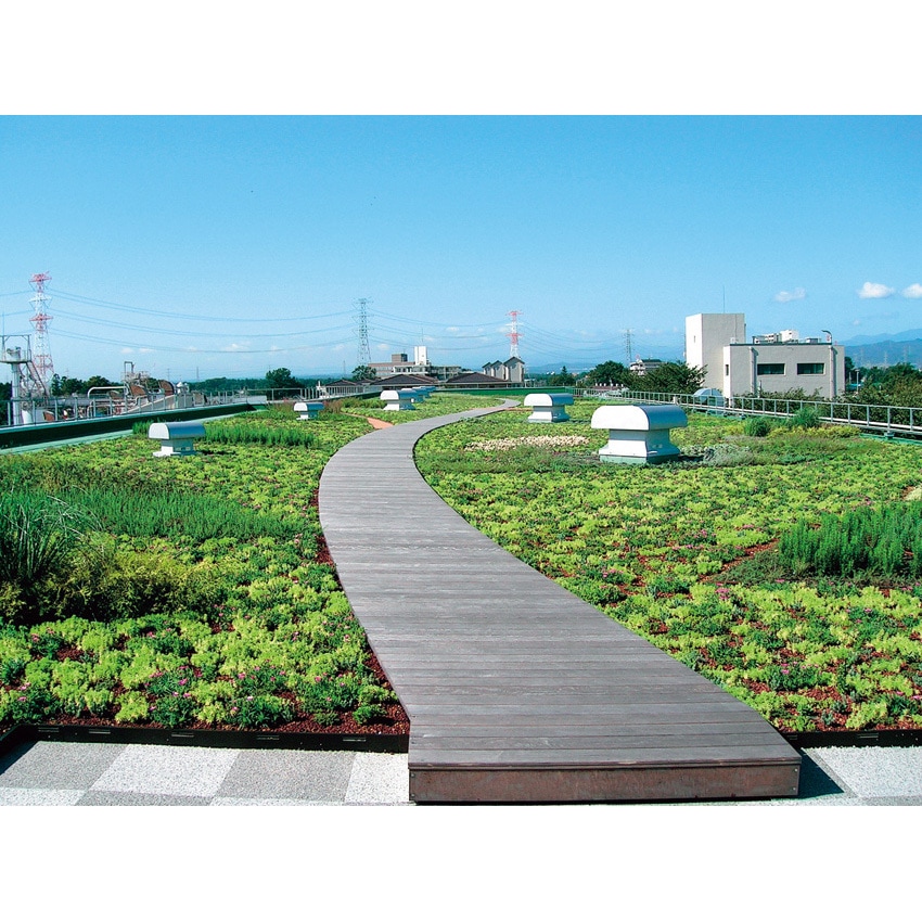 RF-12H200V ルーフファン 1台 鎌倉製作所 【通販モノタロウ】