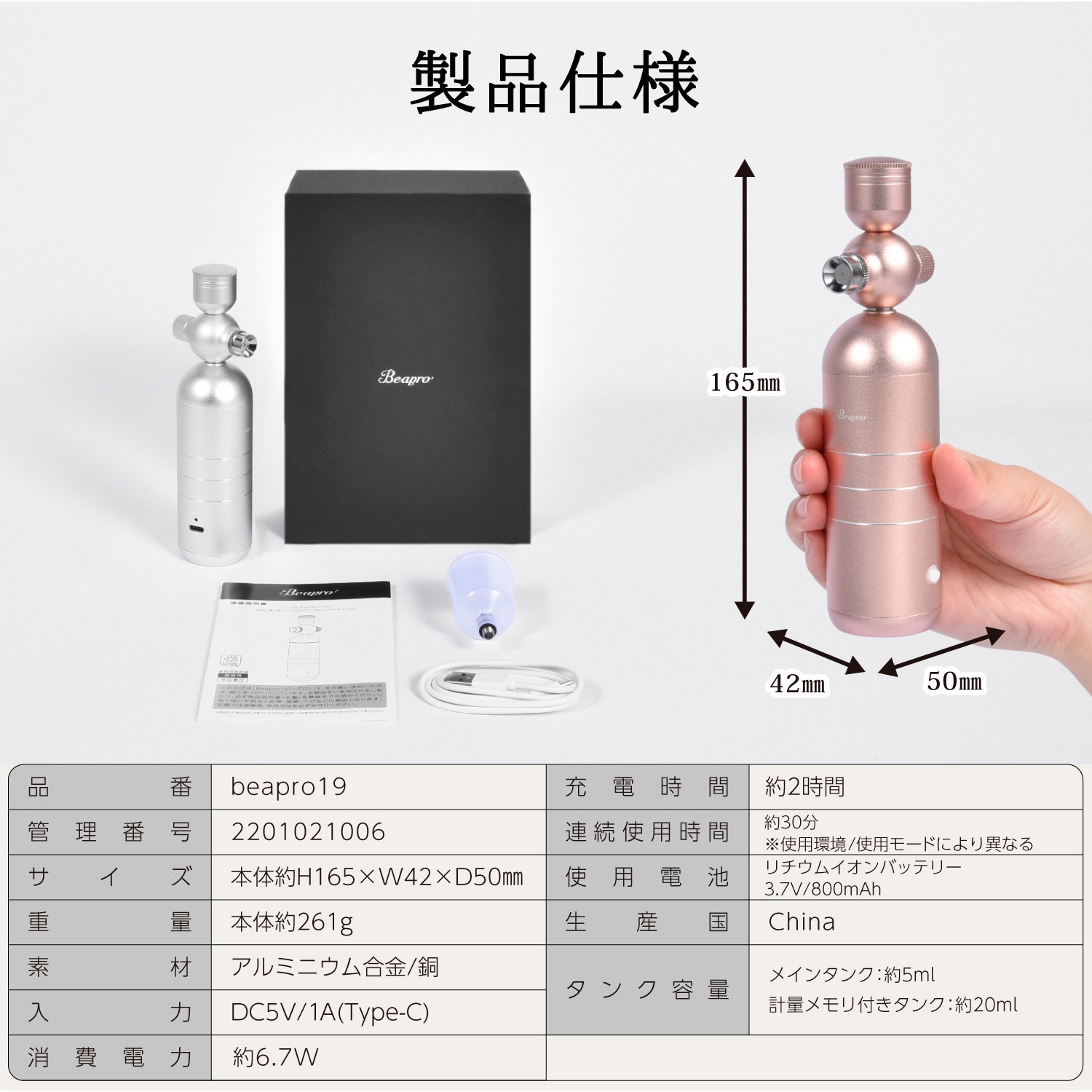 beapro19 beapro19 withミスト リッチミストガン 1台 TAIGASHOJI(大河