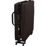 OTB-ARD エアリーマットレス付き電動リクライニングベッド 1台