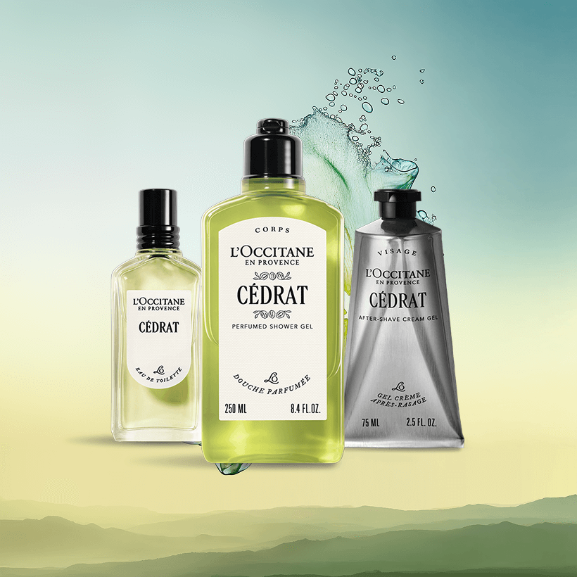 セドラ - ART OF SCENT(ロクシタンのフレグランス) | L'Occitane JP