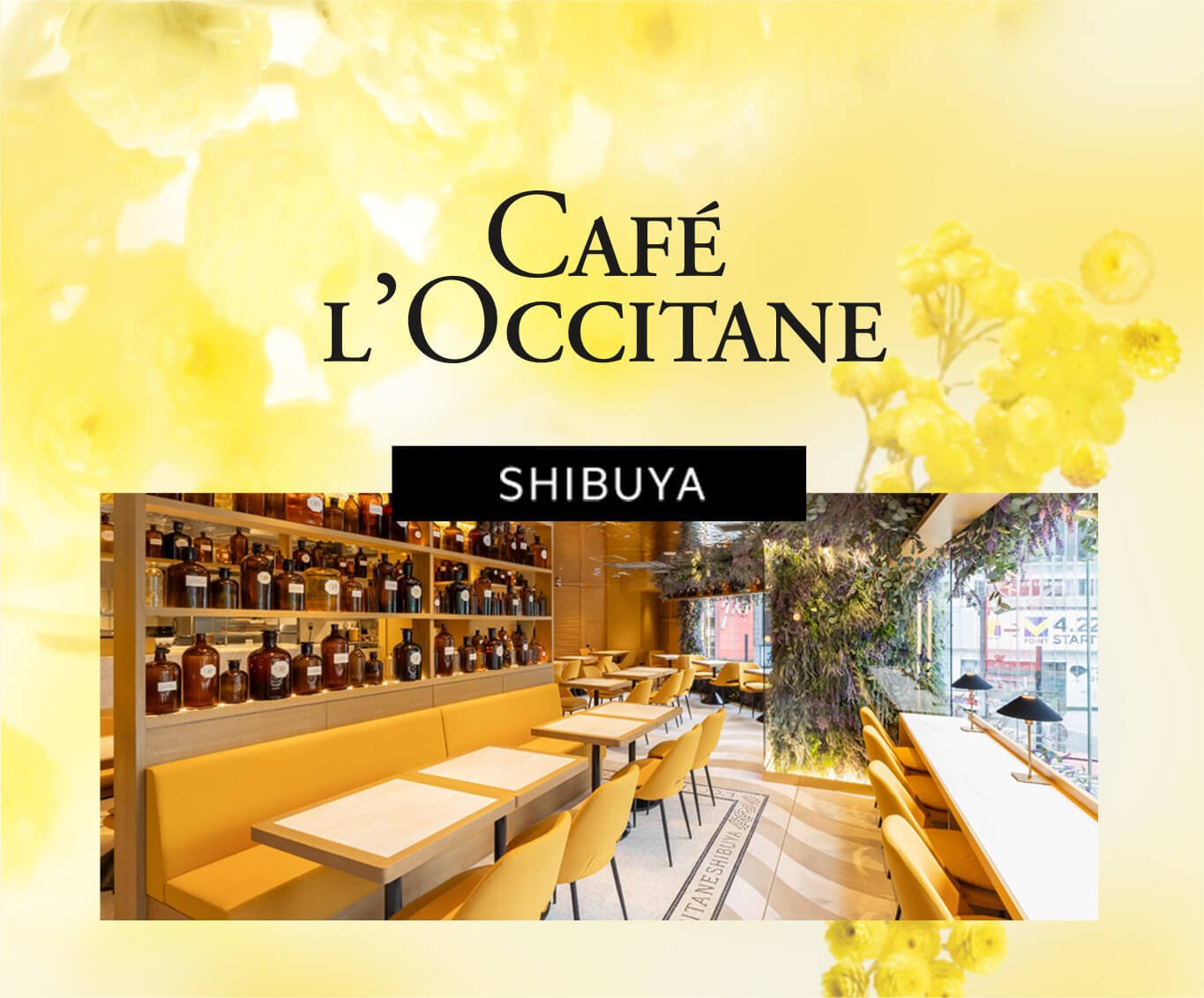 ロクシタンカフェ｜ロクシタン公式通販