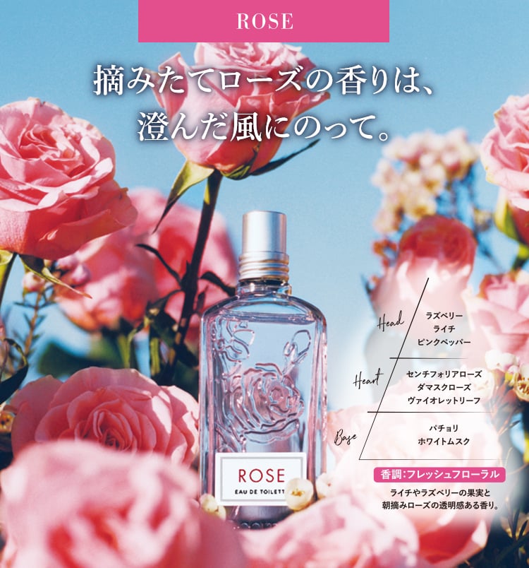 新発売】ローズ｜ロクシタン公式通販