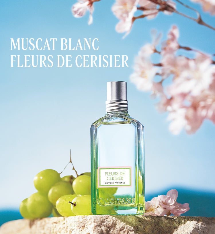 数量限定】ホワイトマスカット チェリーブロッサム｜ロクシタン公式通販