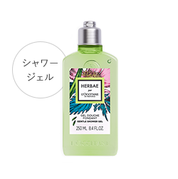 フレグランス エルバヴェール | L'Occitane JP