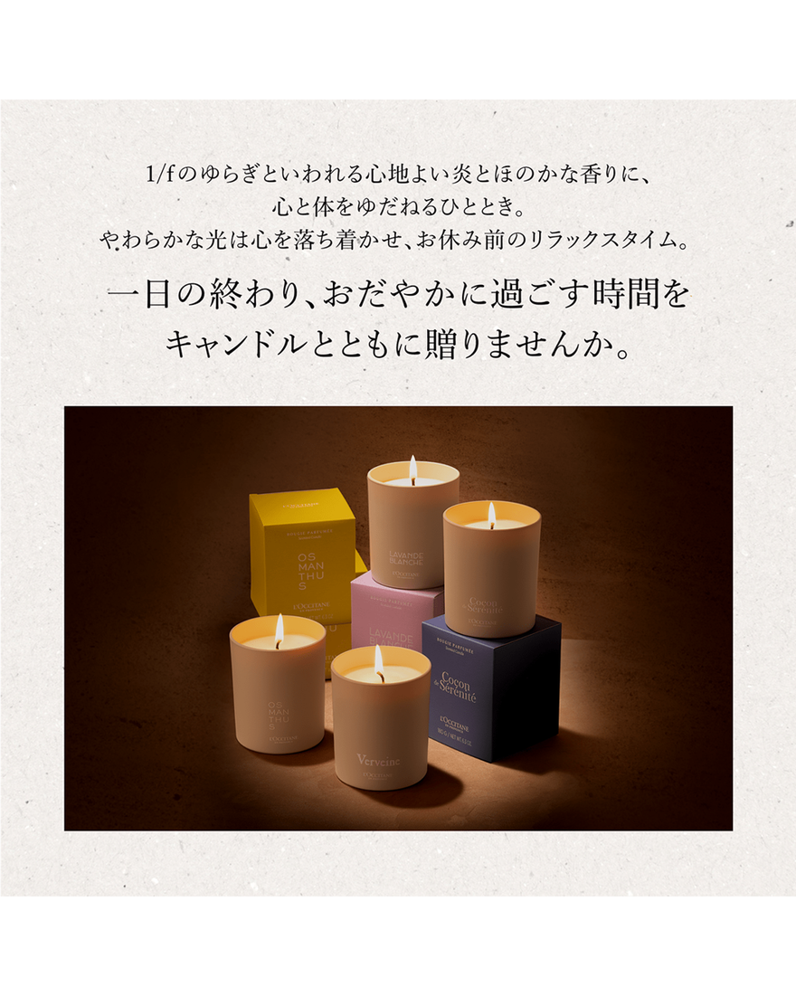 <値下げ>Loro Piana ロロピアーナ　アロマキャンドル 値下げ>Loro Piana ロロピアーナ アロマキャンドル スペシャルな香りに