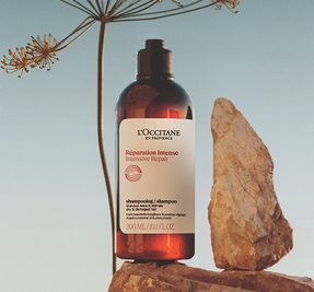 インテンシヴリペア｜シリーズ | ロクシタン公式通販