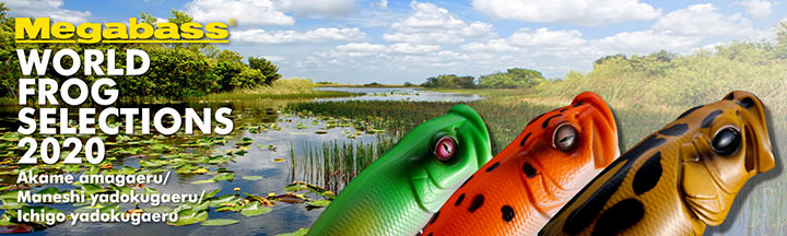 ご予約受付開始！】こだわりのフロッグカラーセット「WORLD FROG