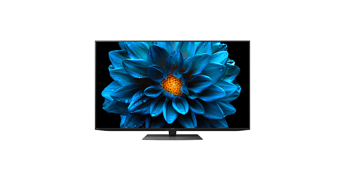 ゆー様 有機EL SHARP 4T-C65CQ1 液晶割れ【ジャンク品】 ゆー様 有機EL