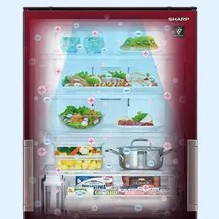 SJ-GW35J | 冷蔵庫：シャープ
