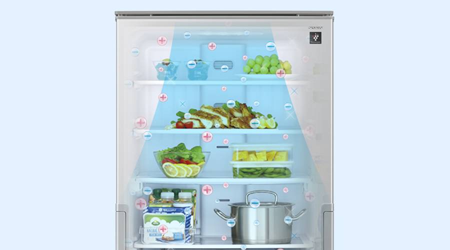 冷蔵室 | SJ-XW46P | 冷蔵庫：シャープ