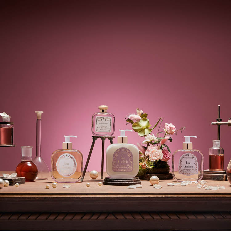 ローザ ガーデニア｜サンタ・マリア・ノヴェッラ