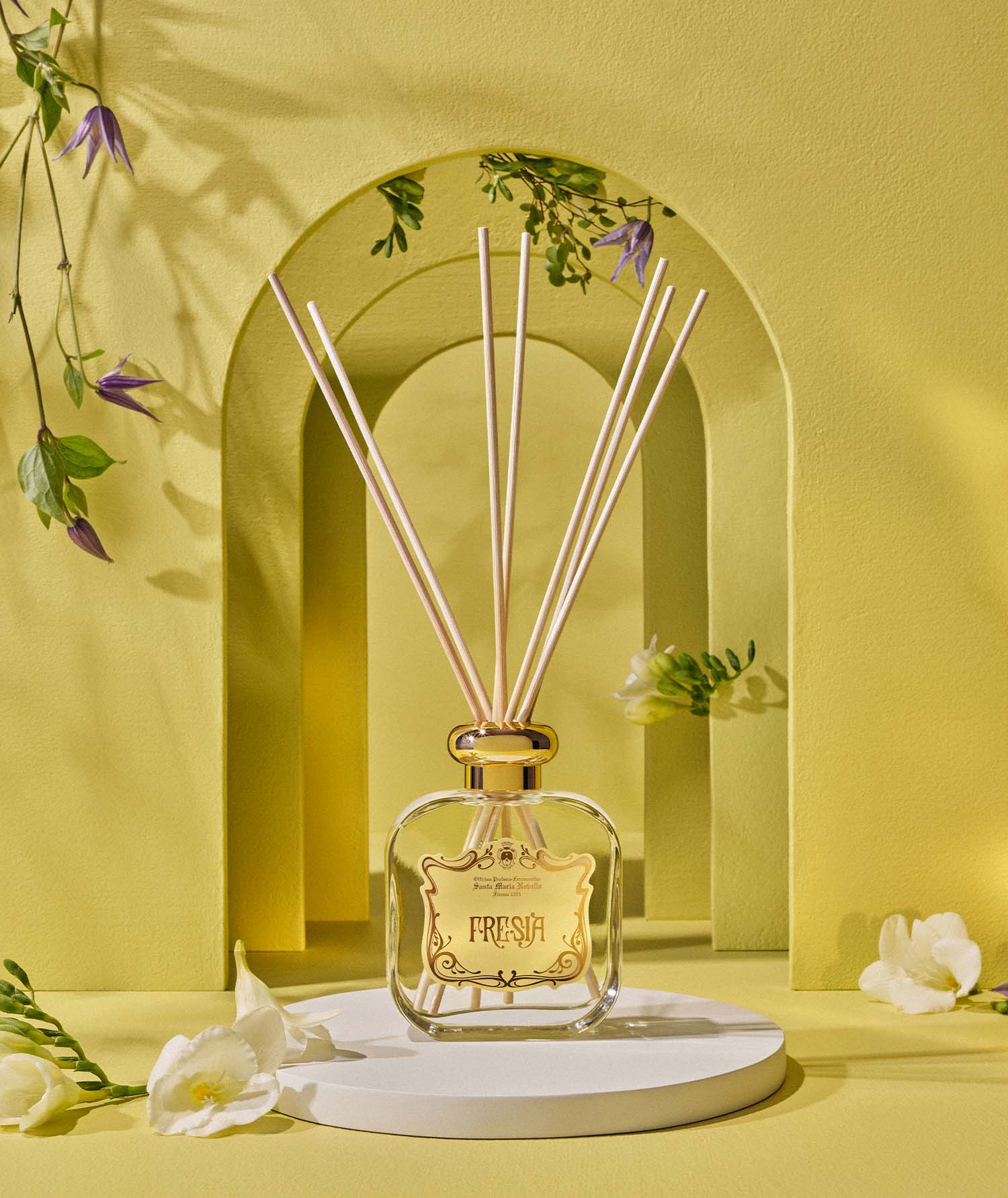 フリージア｜サンタ・マリア・ノヴェッラ