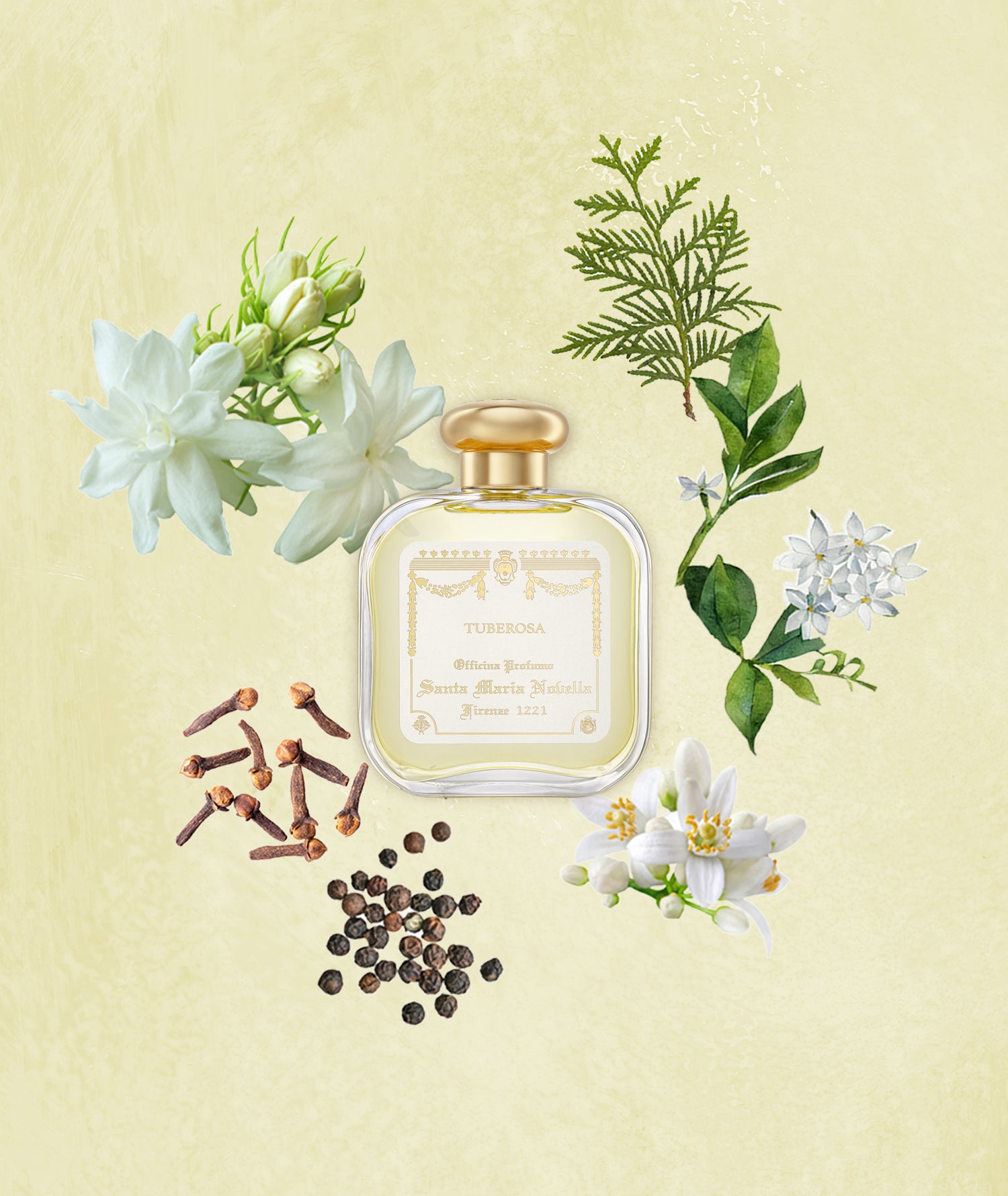 テュべローザ オーデコロン 100ml | サンタ・マリア・ノヴェッラ