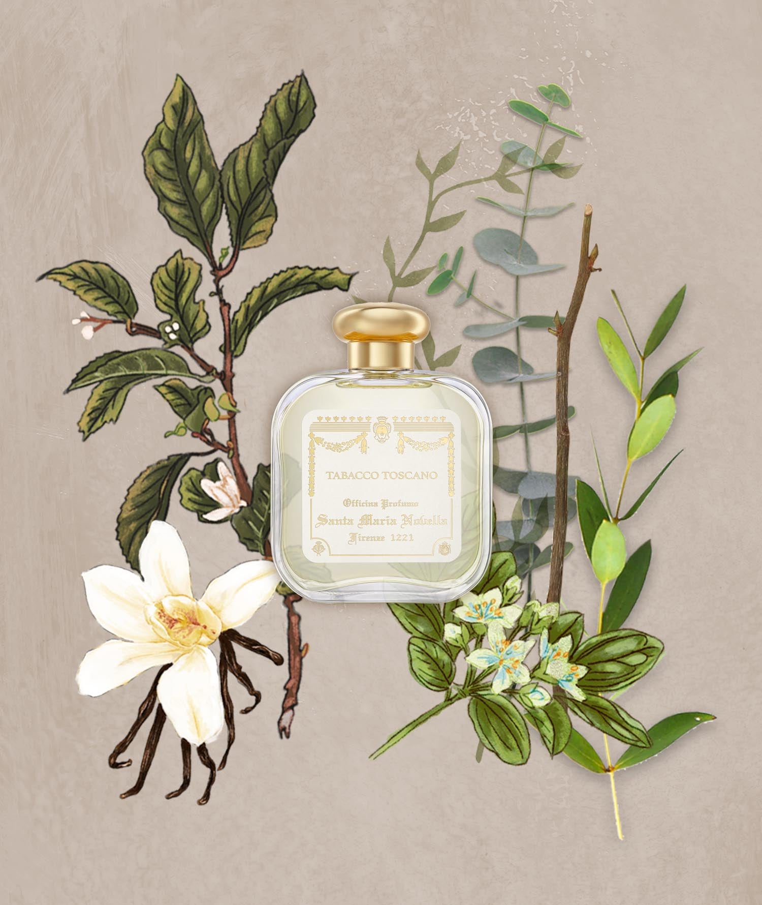 トバッコ トスカーノ オーデコロン｜サンタ・マリア・ノヴェッラ