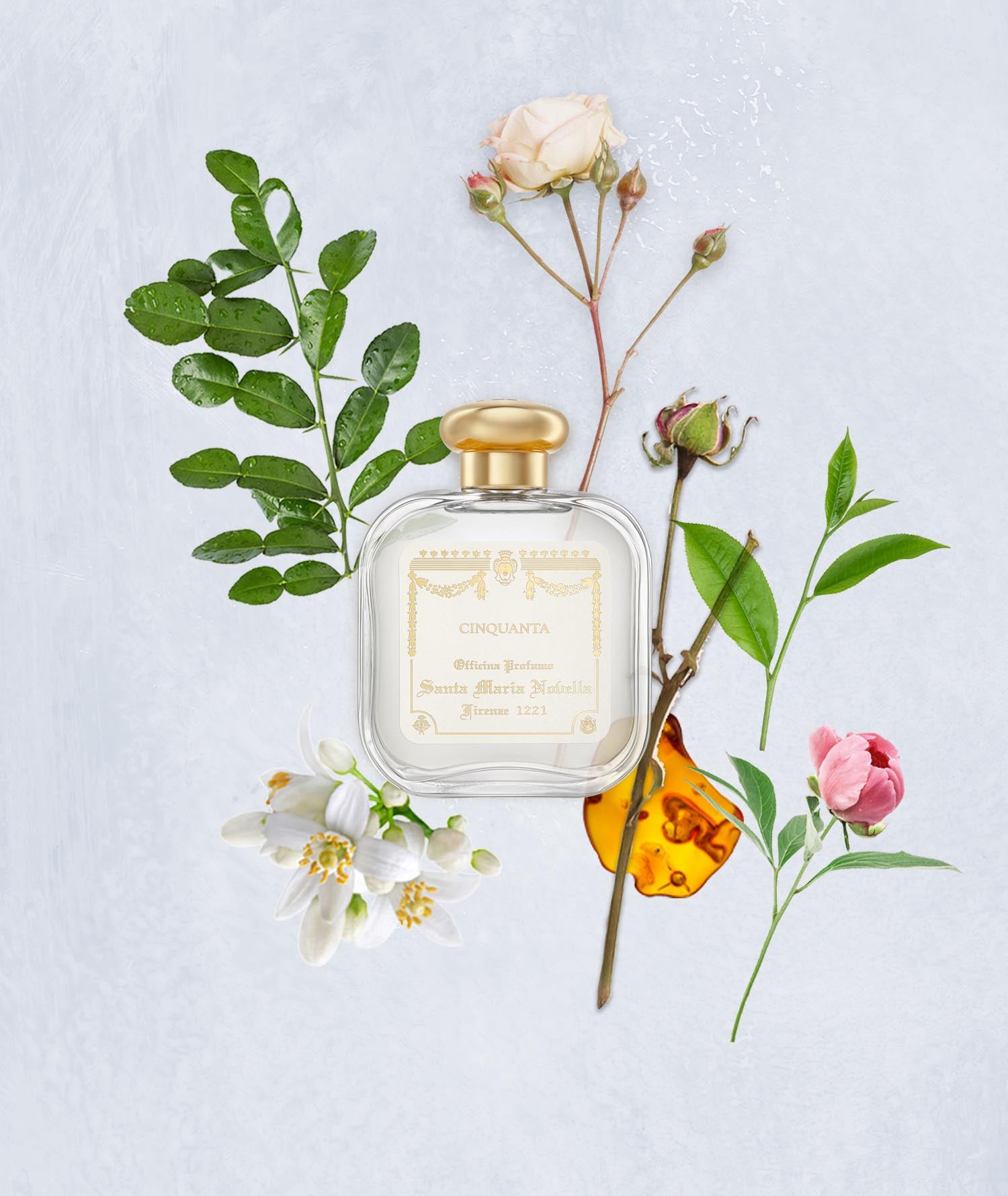 チンクアンタ オーデコロン｜サンタ・マリア・ノヴェッラ