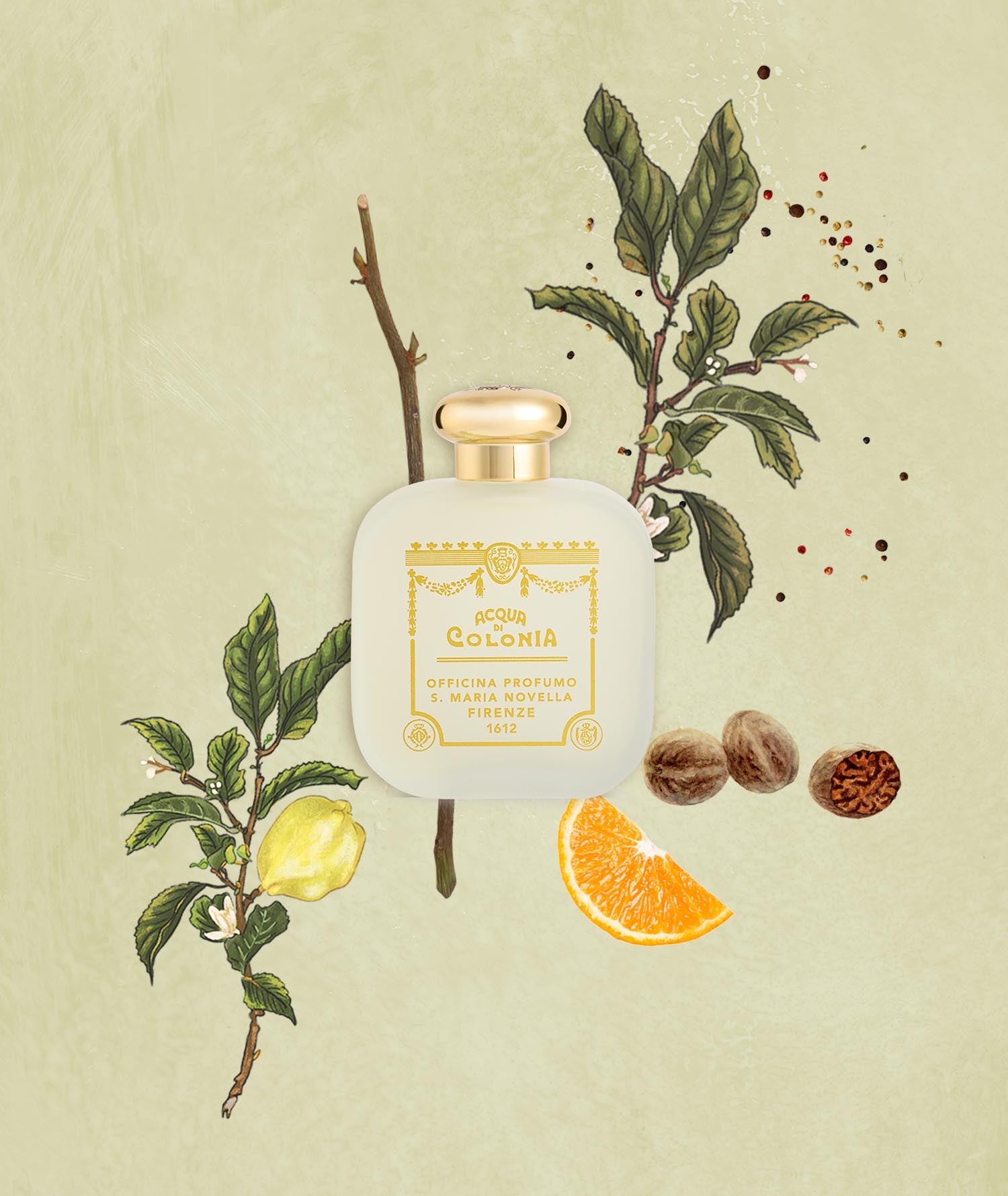 エバ 100ml｜サンタ・マリア・ノヴェッラ