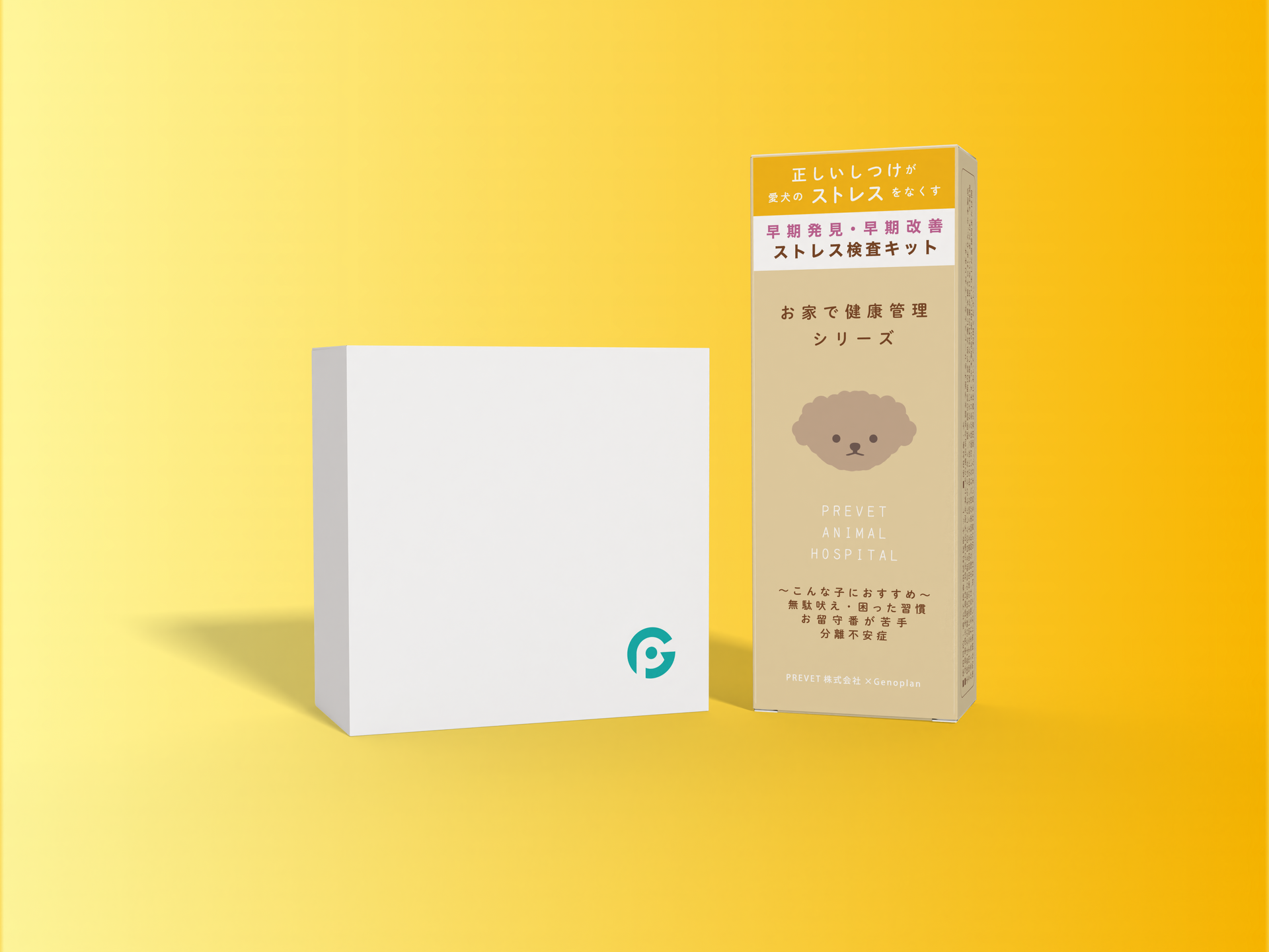 ペット遺伝子検査（犬の分離不安検査キット）×ジェノプラン遺伝子検査