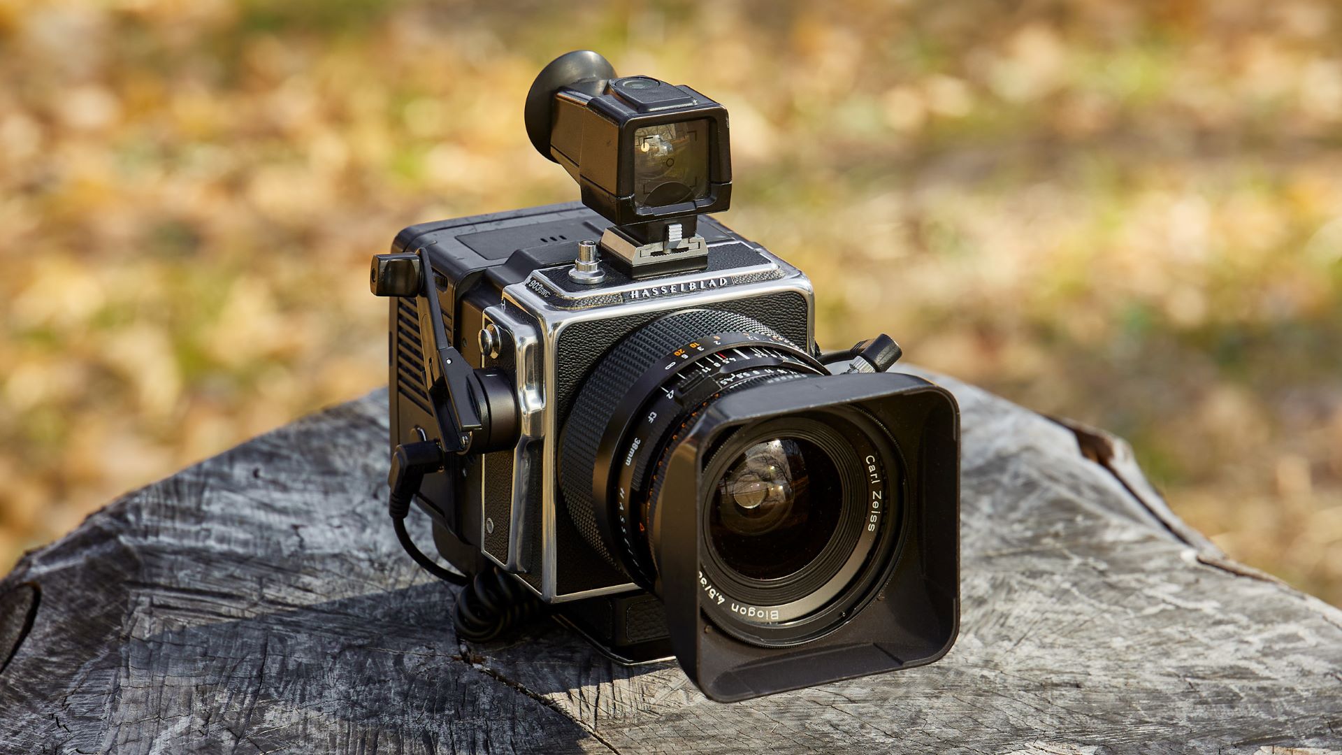 大型センサーで楽しむHasselblad 903SWC Vol.24 [中判カメラANTHOLOGY