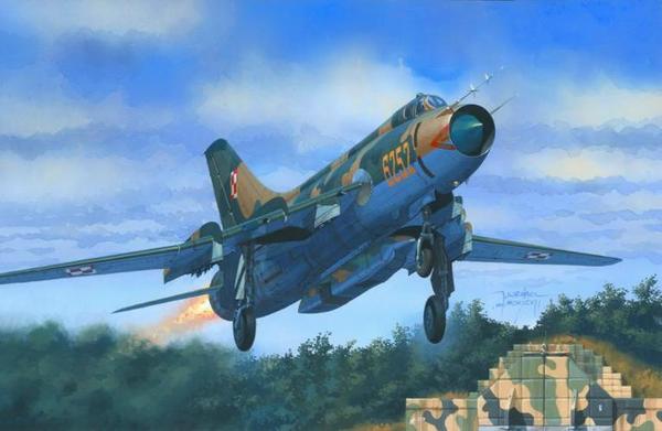 Su - 20 / R Last Flight MisterCraft D13