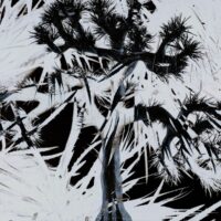 Plastic Tree's self-titled album 