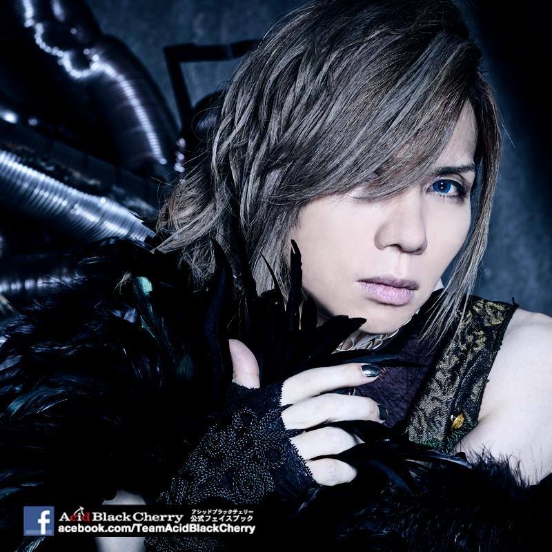 Acid Black Cherry – yasu's letter 08-2017 - Jrockrevolution