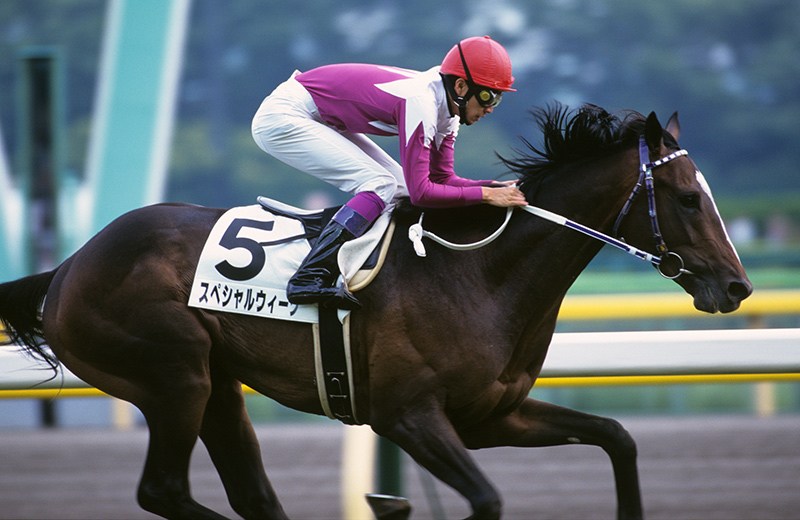 スペシャルウィーク｜名馬メモリアル｜競馬情報ならJRA-VAN