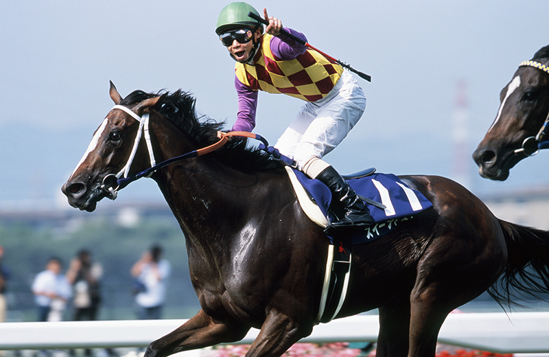 スイープトウショウ｜名馬メモリアル｜競馬情報ならJRA-VAN