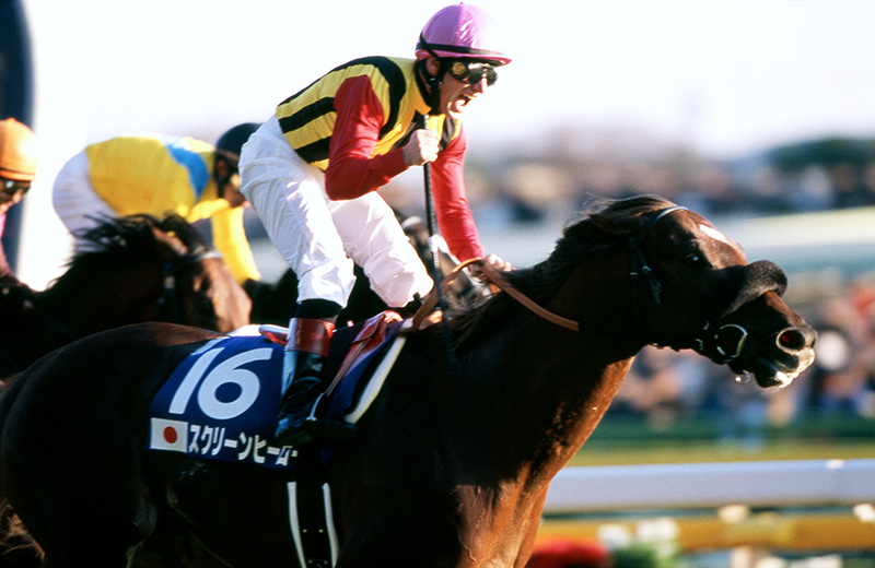 スクリーンヒーロー｜名馬メモリアル｜競馬情報ならJRA-VAN