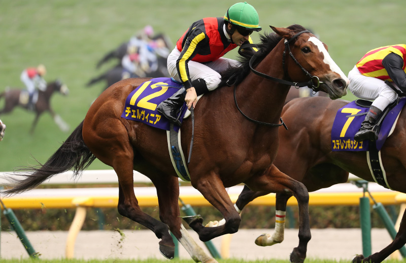 イクイノックス ドウデュース チェルヴィニア アーバンシック スマホ