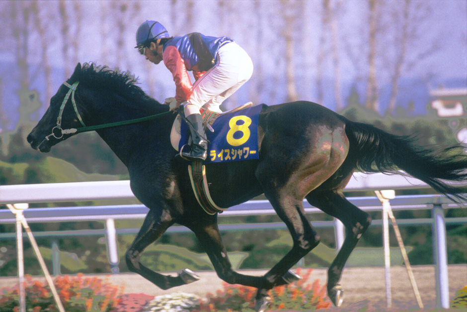 ライスシャワー｜3分でわかった気になる名馬 JRA